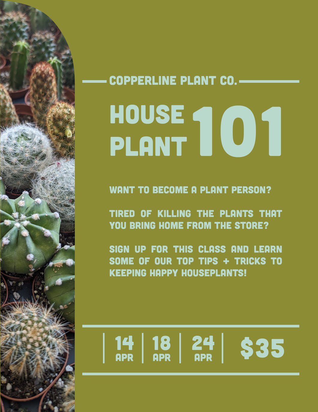 April | Houseplant 101