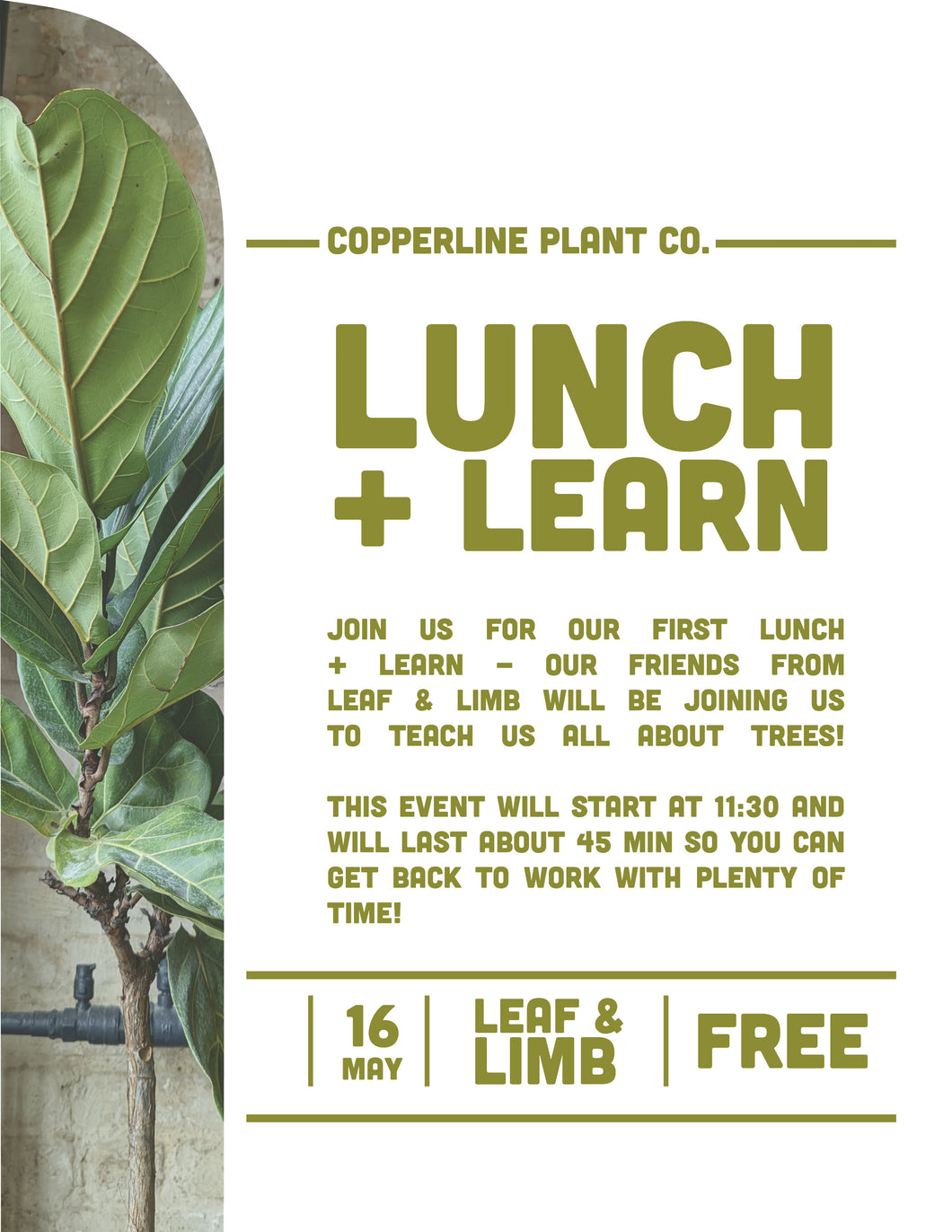 May 16 | Lunch + Learn w/ Leaf & Limb