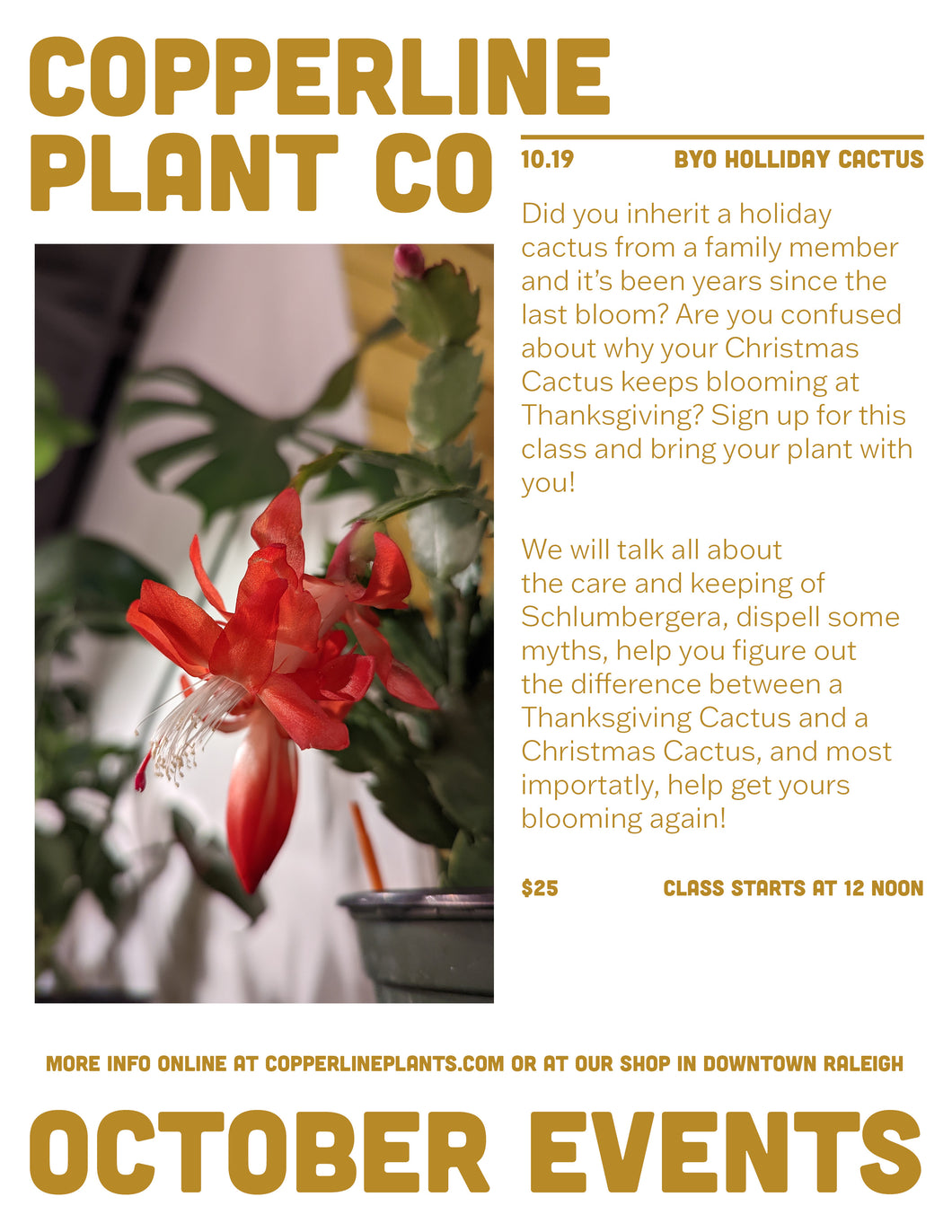 October 19 | BYO Holiday Cactus