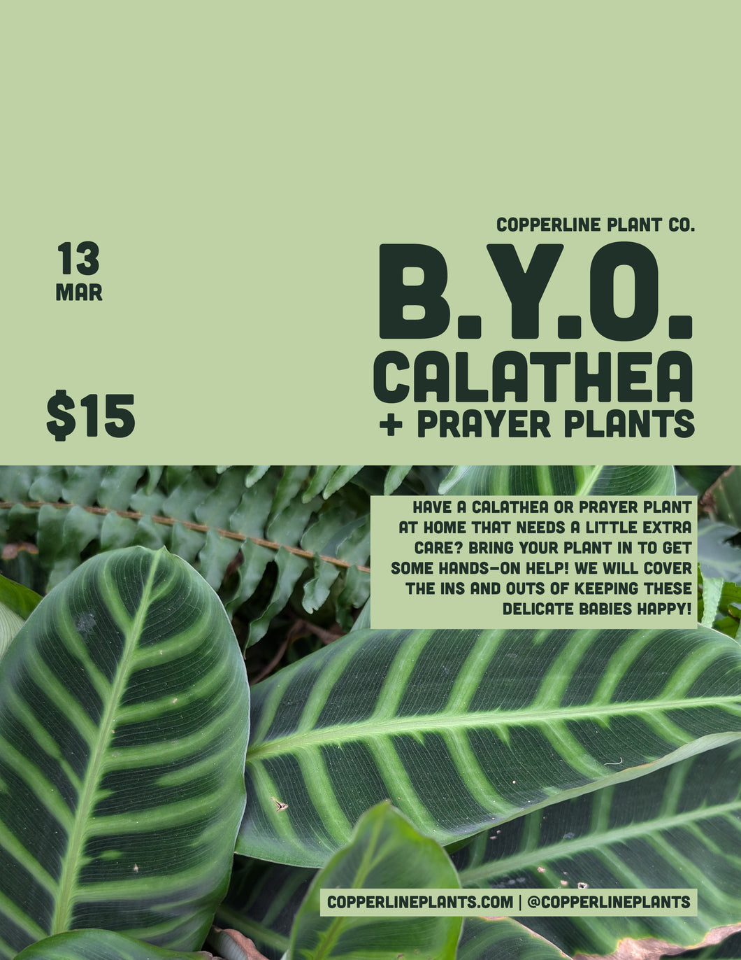 March 13  | BYO Calathea + Prayer Plant