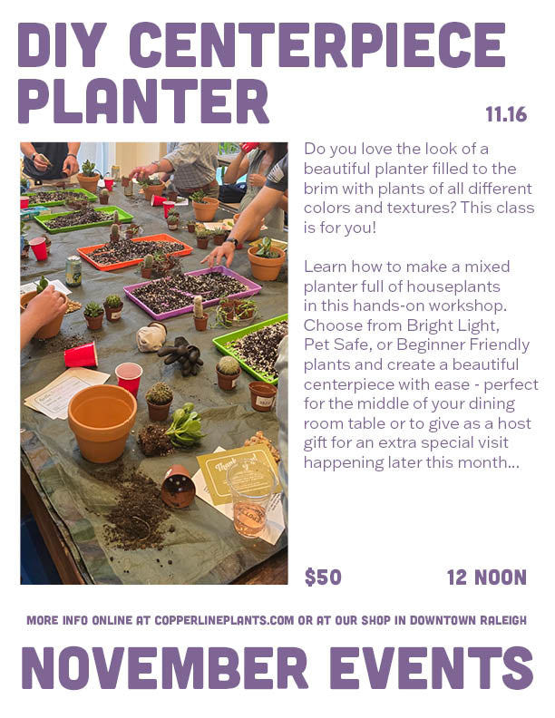 November 16 | DIY Centerpiece Workshop
