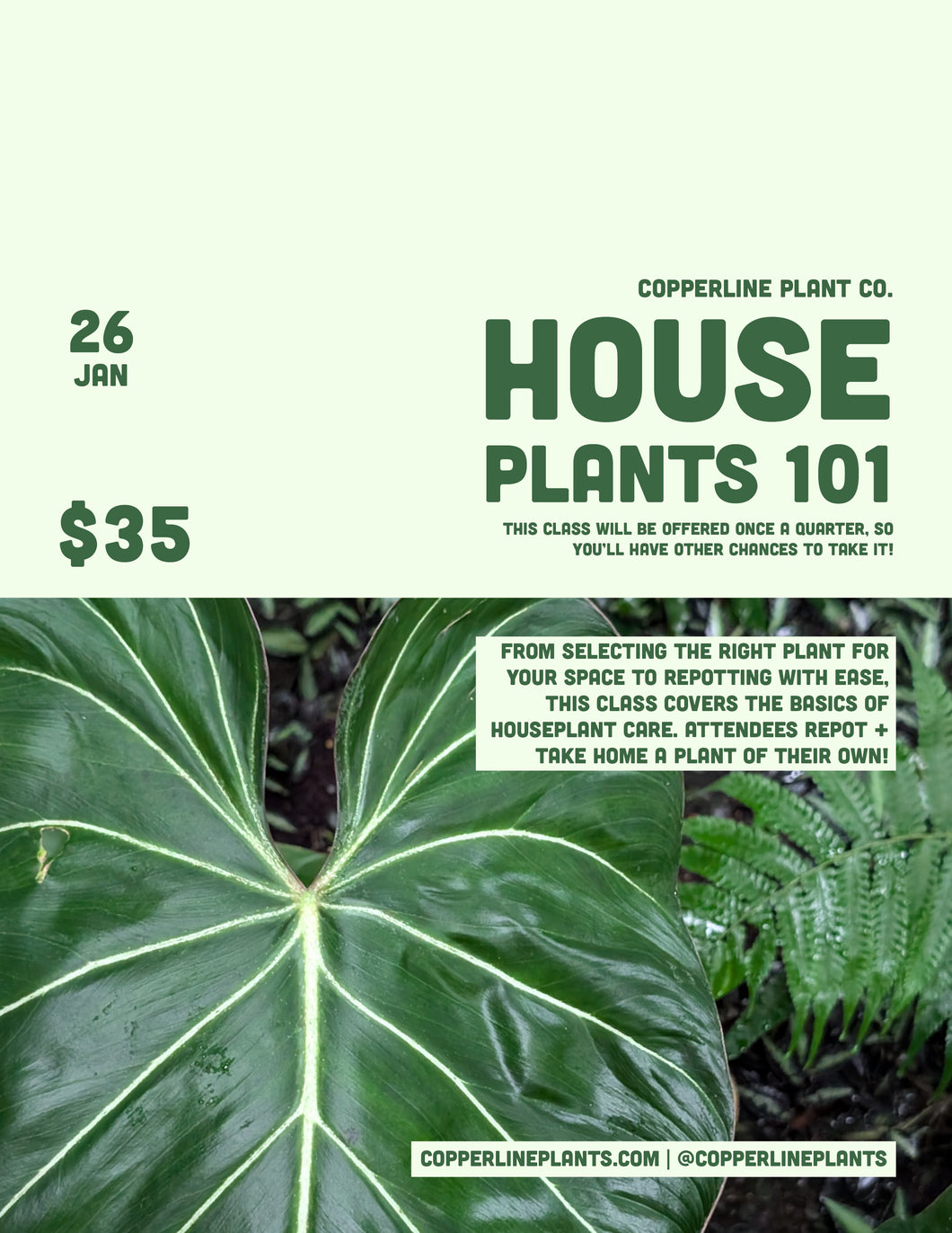 January 26  | Houseplant 101