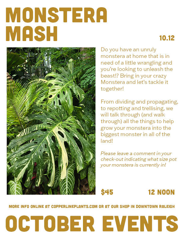 monstera repotting class