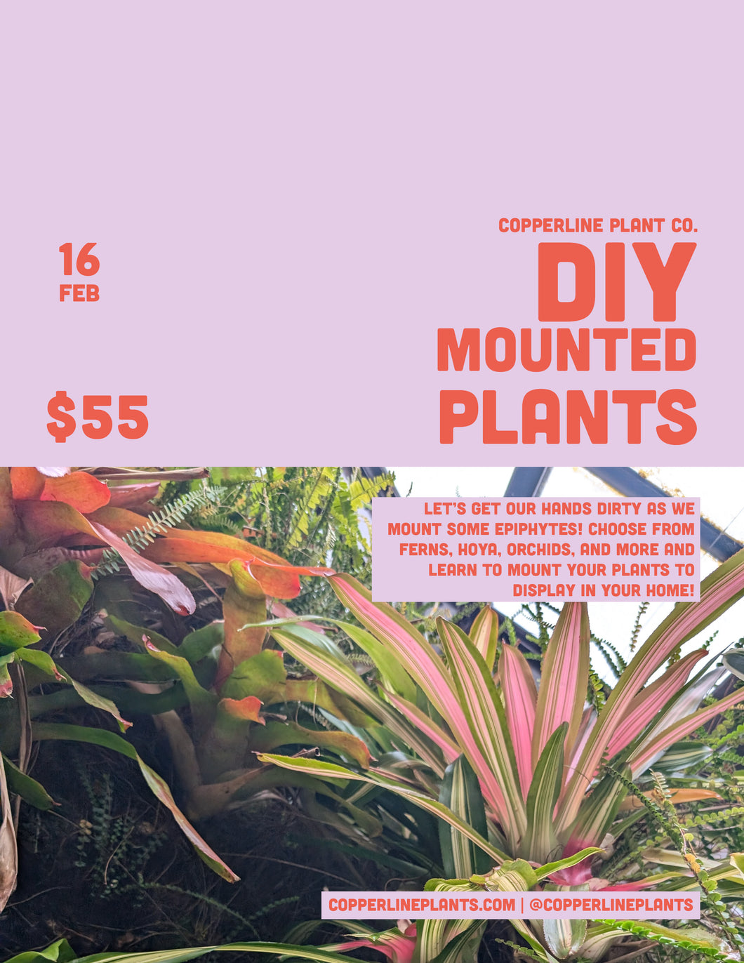 February 16 | Mounted Plant Workshop