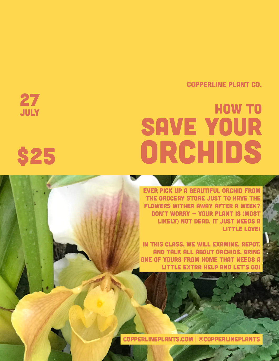 July 27 | How to Save Your Orchid