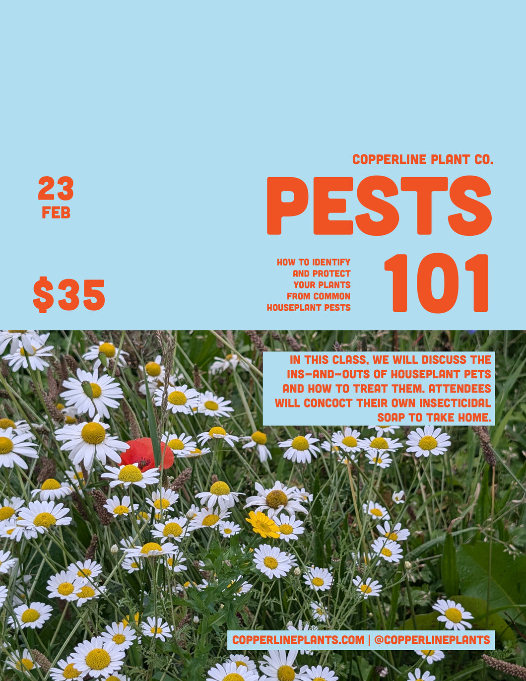 February 23 | Pests 101