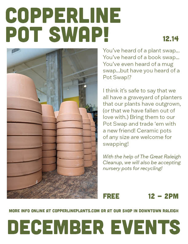 plant pot swap event