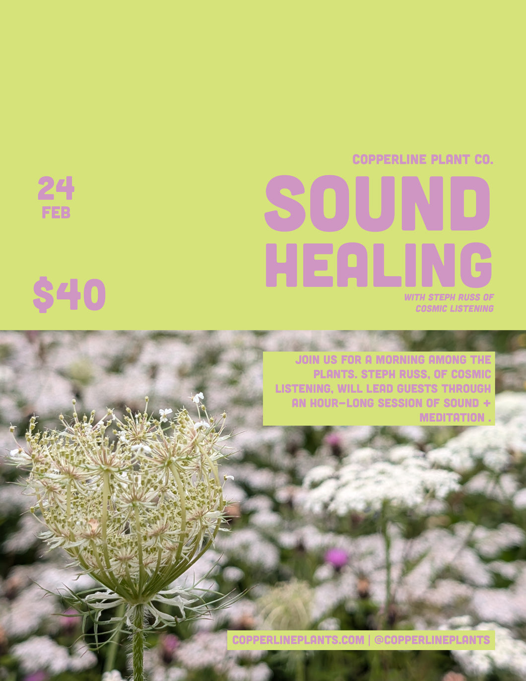 February 24 | Sound Healing w/ Steph Russ