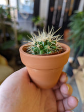 Load image into Gallery viewer, 2in terracota pot
