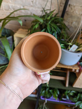 Load image into Gallery viewer, 2in terracotta pot
