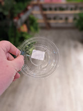 Load image into Gallery viewer, 4&quot; Clear Saucer
