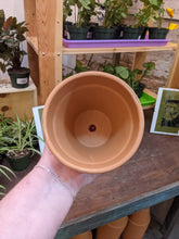 Load image into Gallery viewer, 4&quot; Terracotta Pot
