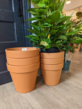Load image into Gallery viewer, 10&quot; Terracotta Pot
